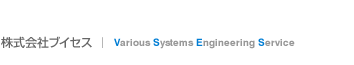 Various Systems Engineering Service